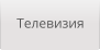Телевизия