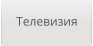 Телевизия